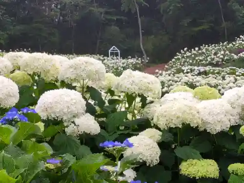 陽林寺(福島県)