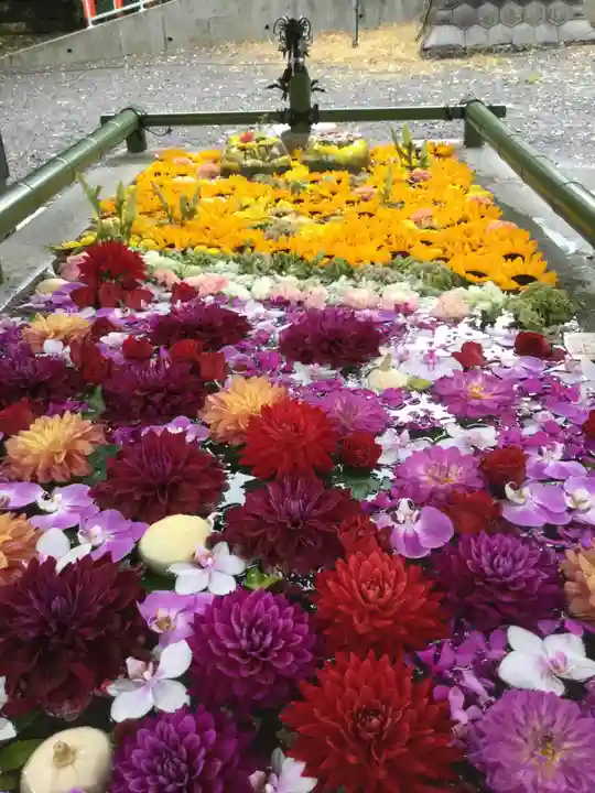 住吉神社の手水舎