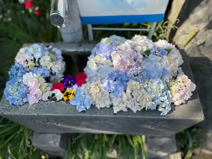 身代り不動尊 大明王院 川崎別格本山の手水舎