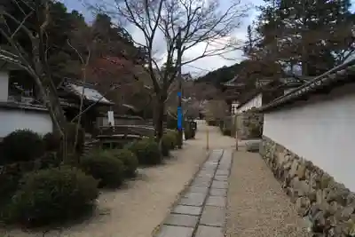 金剛寺(大阪府)