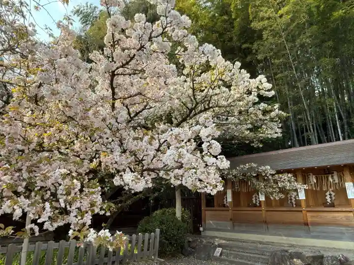 平野神社(京都府)