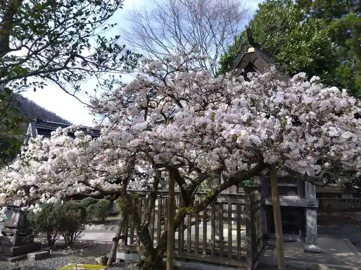 道相神社(京都府)