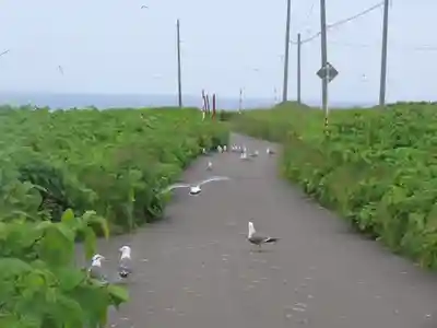 厳島神社(北海道)