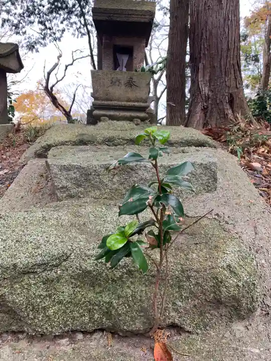 阿久津「田村神社」(郡山市阿久津町)旧社名:伊豆箱根三嶋三社(福島県)
