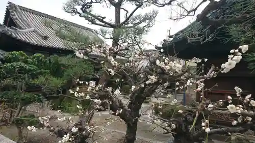 理安寺の庭園