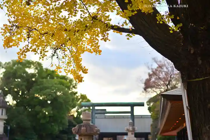 靖國神社(東京都)