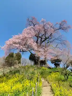 天神さまの祠の自然