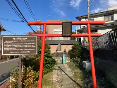 亀の子石神社（亀の子様）(神奈川県)