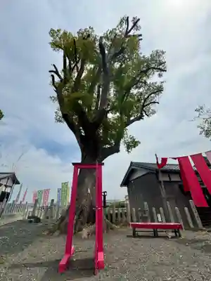 玉田神社(京都府)