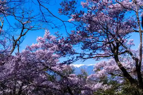 新城藤原神社(長野県)
