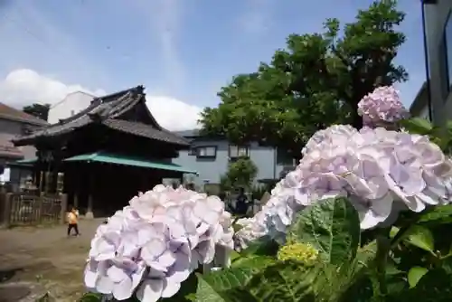 巽神社のその他建物