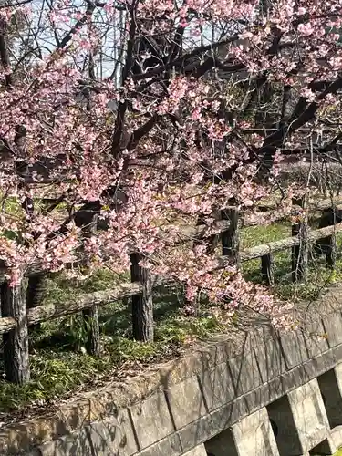 小松神社(埼玉県)