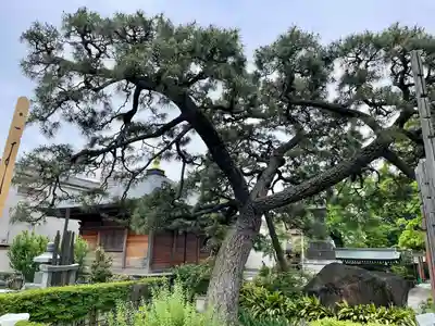 安養院(東京都)