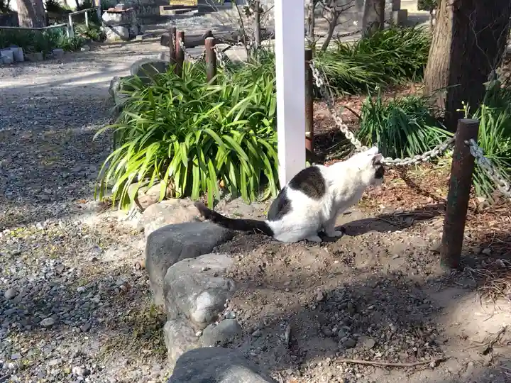 勧学寺(三重県)