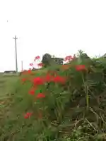 感応寺(茨城県)