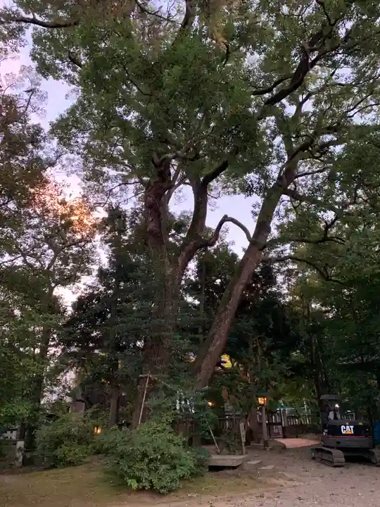 武蔵一宮氷川神社の自然