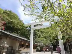 安房神社の鳥居