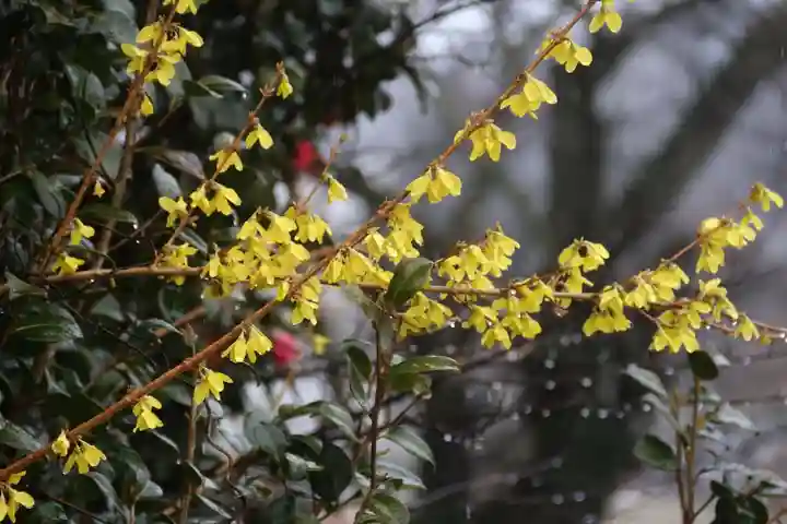 長屋神社の庭園