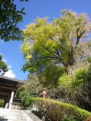 荏柄天神社のその他建物