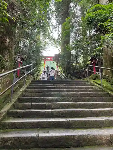 箱根神社(神奈川県)