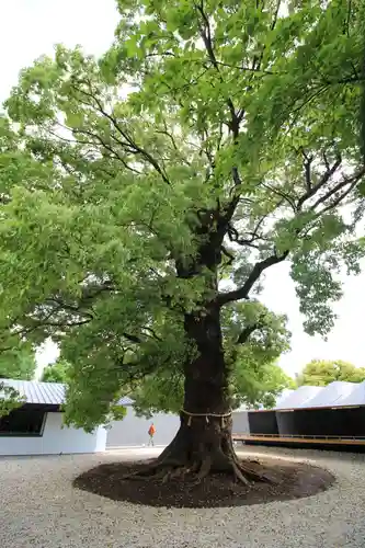 上野東照宮の庭園