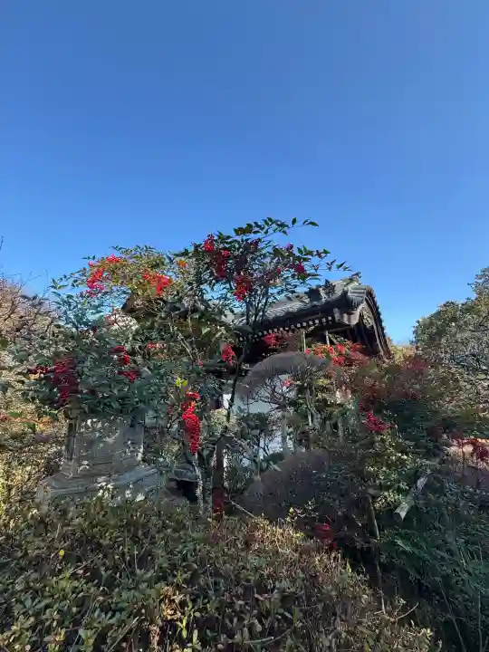 元三大師安楽寺の{uncategorized: "未分類", other: "その他", undefined: "問題あり", building: "その他建物", grave: "お墓", sacred_gate: "鳥居", guardian: "狛犬", statue: "像", buddha: "仏像", history: "歴史", nature: "自然", garden: "庭園", animal: "動物", pagoda: "塔", temizu: "手水舎", mountain_gate: "山門・神門", sanctuary: "本殿・本堂", subordinate: "末社・摂社", art: "芸術", scenery: "景色", jizo: "地蔵", ema: "絵馬", goshuin: "御朱印", omikuji: "おみくじ", items: "授与品その他", amulet: "お守り", goshuincho: "御朱印帳", eats: "食事", festival: "お祭り", votive_dance: "神楽", shichigosan: "七五三参", wedding: "結婚式", experience: "体験その他", initially: "初詣", around: "周辺", anti_infection: "感染症対策"}