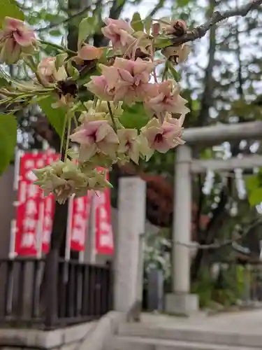 下神明天祖神社(東京都)
