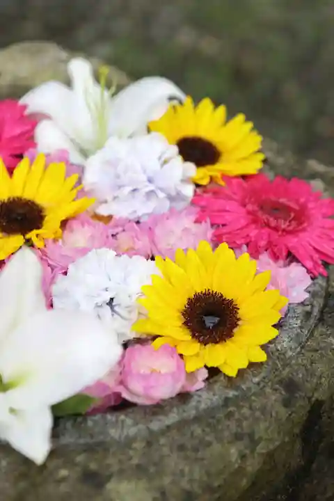 壽徳寺 じゅとくじの手水舎