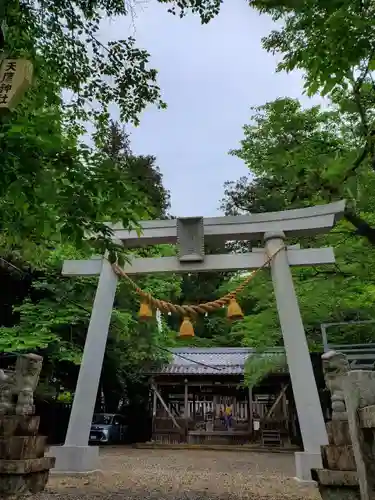 天鷹神社の鳥居