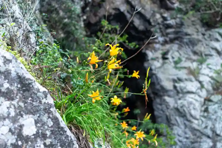 鵜戸神社(大御神社境内社)(宮崎県)