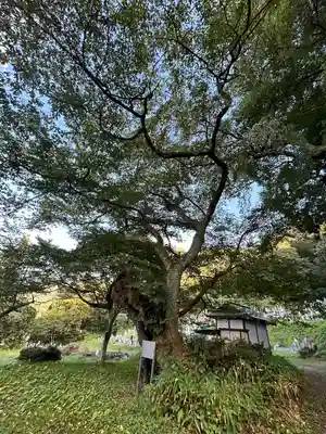 高顕寺(長野県)