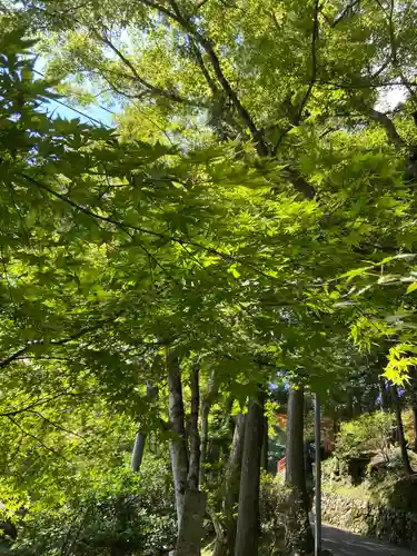 比叡山延暦寺(滋賀県)