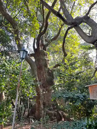 高座結御子神社（熱田神宮摂社）(愛知県)