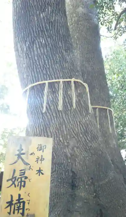 鳩ヶ谷氷川神社(埼玉県)