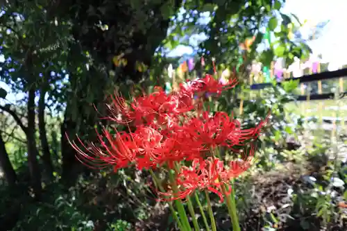 高司神社〜むすびの神の鎮まる社〜の庭園