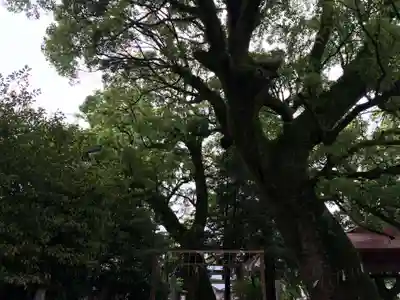 現人神社(福岡県)