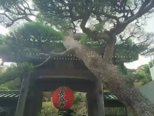 長谷寺の山門