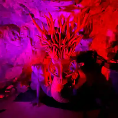 江島神社の周辺