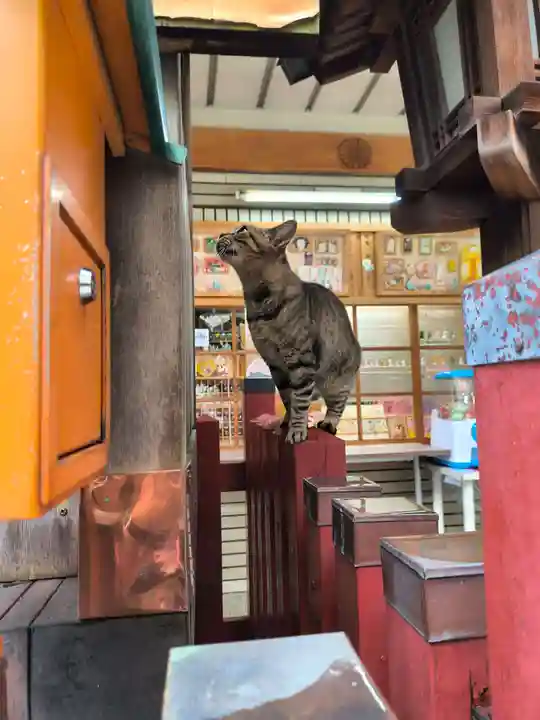 露天神社(お初天神)(大阪府)