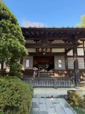 西光寺の{uncategorized: "未分類", other: "その他", undefined: "問題あり", building: "その他建物", grave: "お墓", sacred_gate: "鳥居", guardian: "狛犬", statue: "像", buddha: "仏像", history: "歴史", nature: "自然", garden: "庭園", animal: "動物", pagoda: "塔", temizu: "手水舎", mountain_gate: "山門・神門", sanctuary: "本殿・本堂", subordinate: "末社・摂社", art: "芸術", scenery: "景色", jizo: "地蔵", ema: "絵馬", goshuin: "御朱印", omikuji: "おみくじ", items: "授与品その他", amulet: "お守り", goshuincho: "御朱印帳", eats: "食事", festival: "お祭り", votive_dance: "神楽", shichigosan: "七五三参", wedding: "結婚式", experience: "体験その他", initially: "初詣", around: "周辺", anti_infection: "感染症対策"}