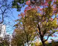 若宮八幡社(愛知県)