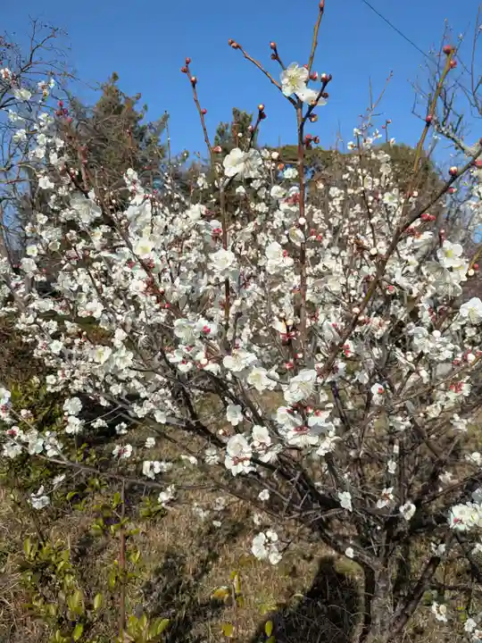 安楽寺(三重県)