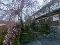 子安地蔵寺の{uncategorized: "未分類", other: "その他", undefined: "問題あり", building: "その他建物", grave: "お墓", sacred_gate: "鳥居", guardian: "狛犬", statue: "像", buddha: "仏像", history: "歴史", nature: "自然", garden: "庭園", animal: "動物", pagoda: "塔", temizu: "手水舎", mountain_gate: "山門・神門", sanctuary: "本殿・本堂", subordinate: "末社・摂社", art: "芸術", scenery: "景色", jizo: "地蔵", ema: "絵馬", goshuin: "御朱印", omikuji: "おみくじ", items: "授与品その他", amulet: "お守り", goshuincho: "御朱印帳", eats: "食事", festival: "お祭り", votive_dance: "神楽", shichigosan: "七五三参", wedding: "結婚式", experience: "体験その他", initially: "初詣", around: "周辺", anti_infection: "感染症対策"}