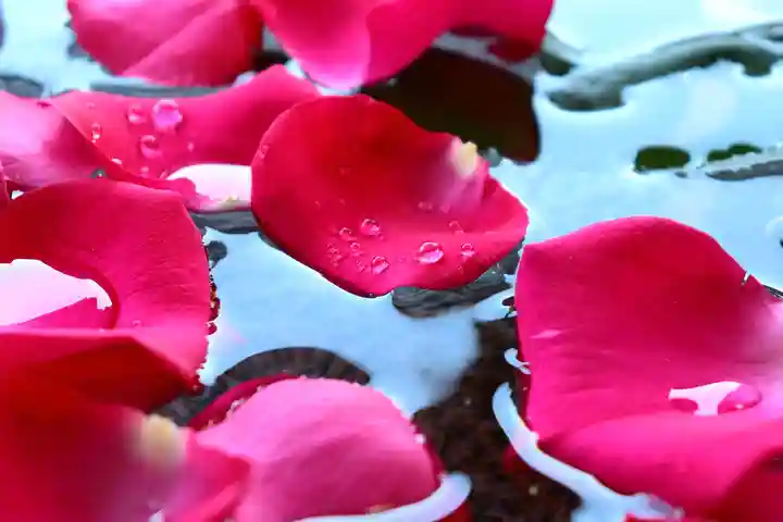 三津厳島神社の手水舎