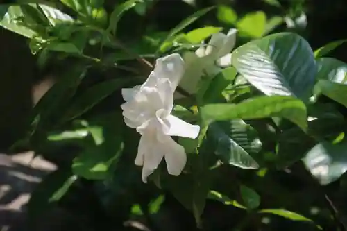 開成山大神宮の庭園