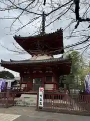 喜多院(埼玉県)