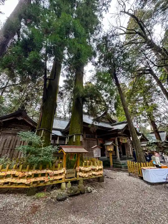 高千穂神社(宮崎県)