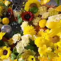 札幌諏訪神社の手水舎