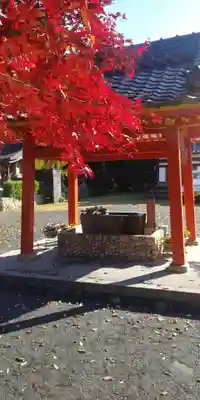 佐久奈度神社の手水舎