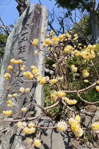 荏柄天神社(神奈川県)